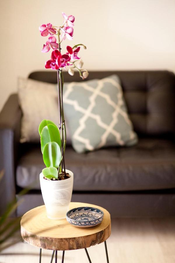 Appartement Authentic Charming Apartment/wifi/air Conditioning *